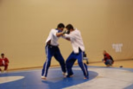 &Pi;&Rho;&Omicron;&Kappa;&Eta;&Rho;&Upsilon;&Xi;&Eta; &Pi;&Alpha;&Nu;&Epsilon;&Lambda;&Lambda;&Eta;&Nu;&Iota;&Omicron;&Upsilon; &Pi;&Rho;&Omega;&Tau;&Alpha;&Theta;&Lambda;&Eta;&Mu;&Alpha;&Tau;&Omicron;&Sigma; &Pi;&Alpha;&Gamma;&Kappa;&Rho;&Alpha;&Tau;&Iota;&Omicron;&Upsilon; 2014